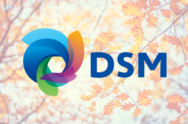 DSM