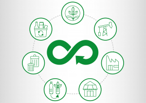 economia circular