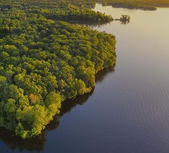 Retorno à Amazonia